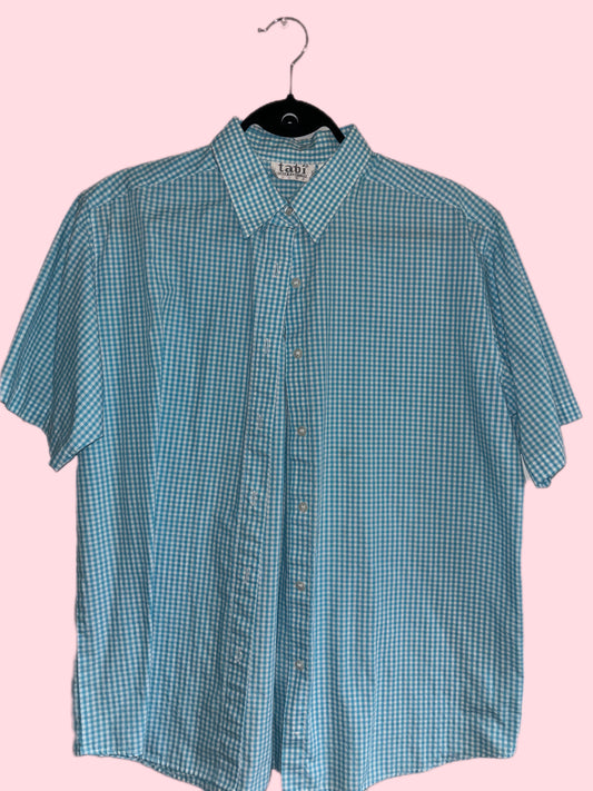 Baby blue gingham button up (L)